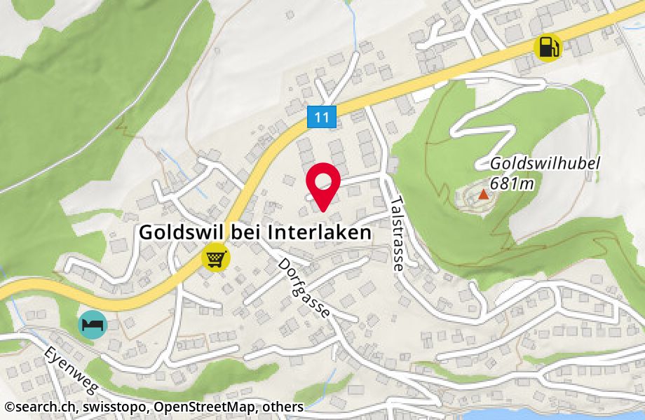 Salzhubelweg 10, 3805 Goldswil b. Interlaken