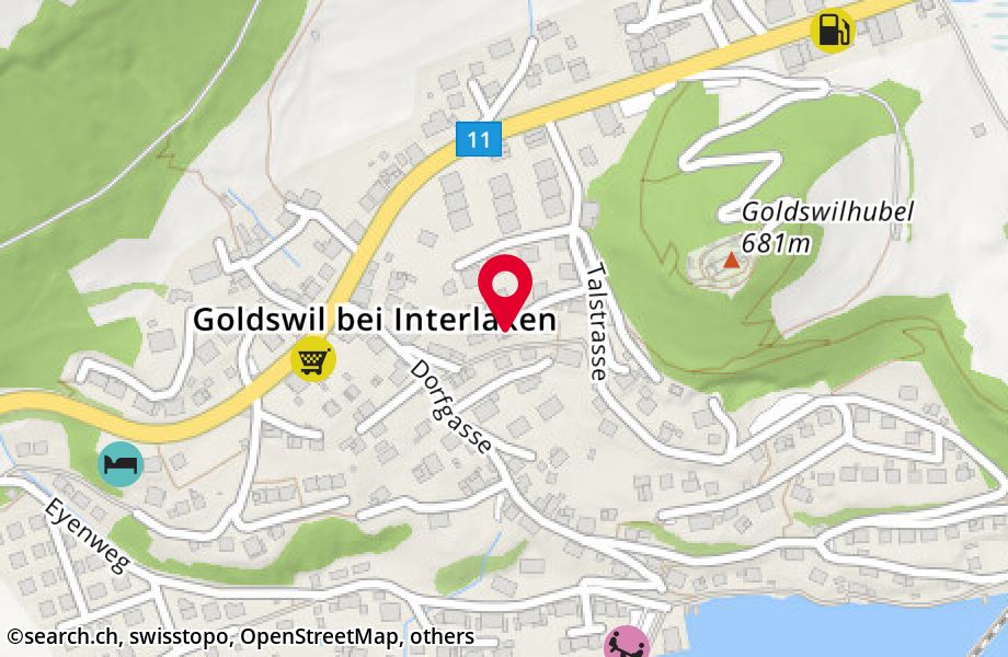Salzhubelweg 19, 3805 Goldswil b. Interlaken