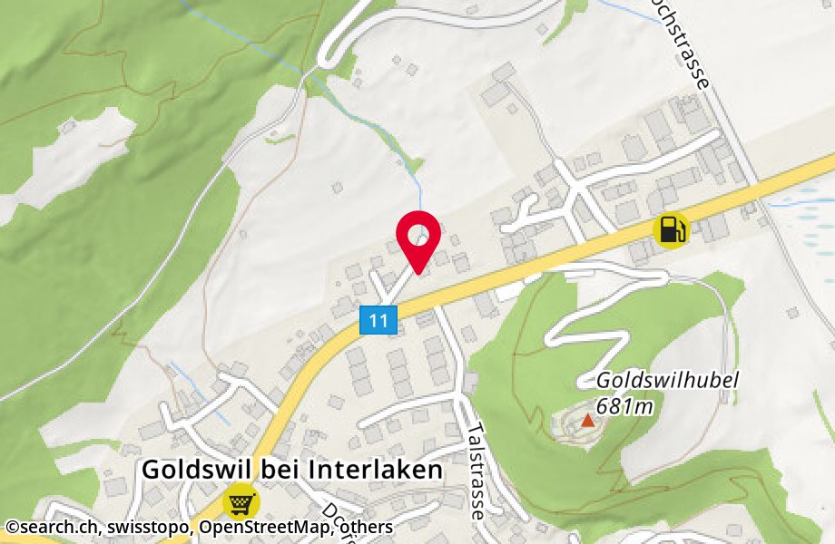 Walmweg 4, 3805 Goldswil b. Interlaken