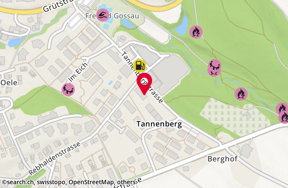 Tannenbergstrasse 50, 8625 Gossau