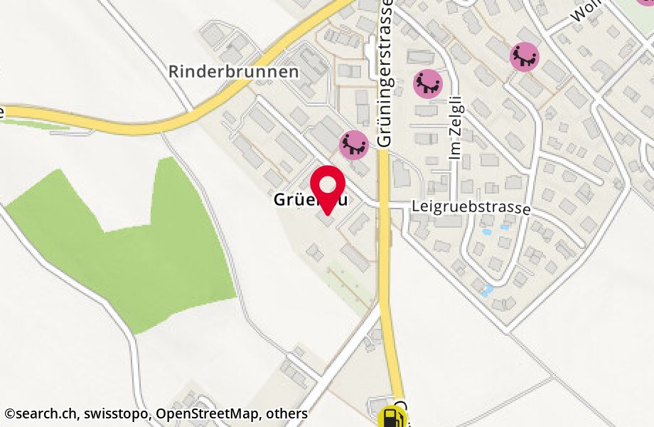 Grüenaustrasse 9, 8624 Grüt (Gossau ZH)