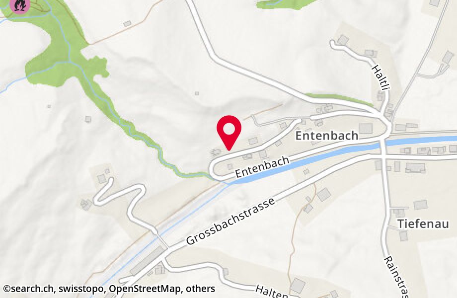 Entenbach 11, 8841 Gross