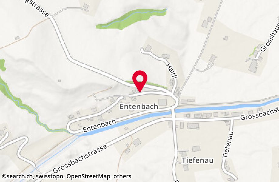 Entenbach 21, 8841 Gross