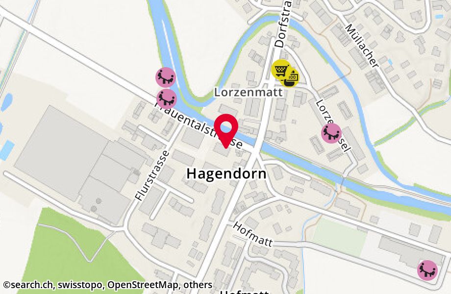 Frauentalstrasse 1, 6332 Hagendorn