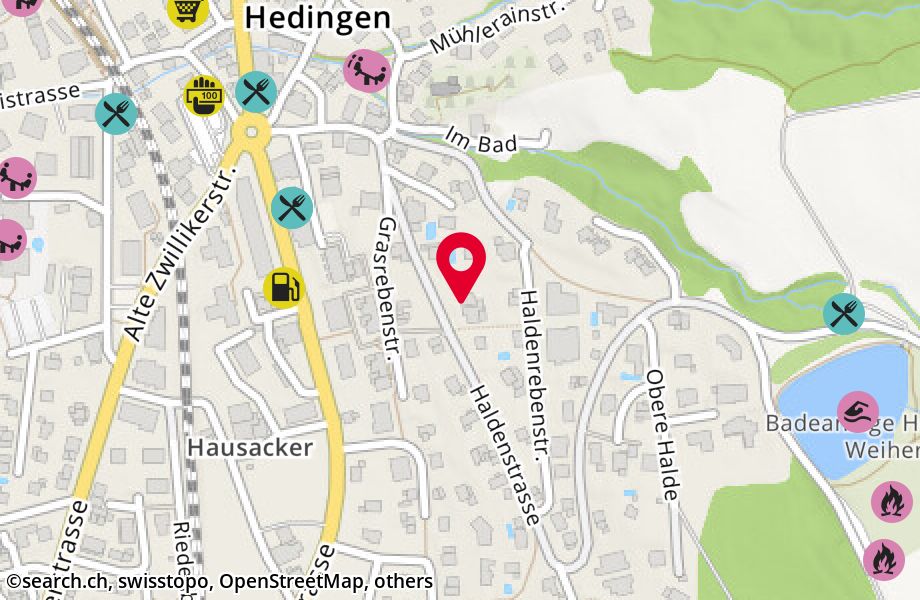 Haldenstrasse 21, 8908 Hedingen