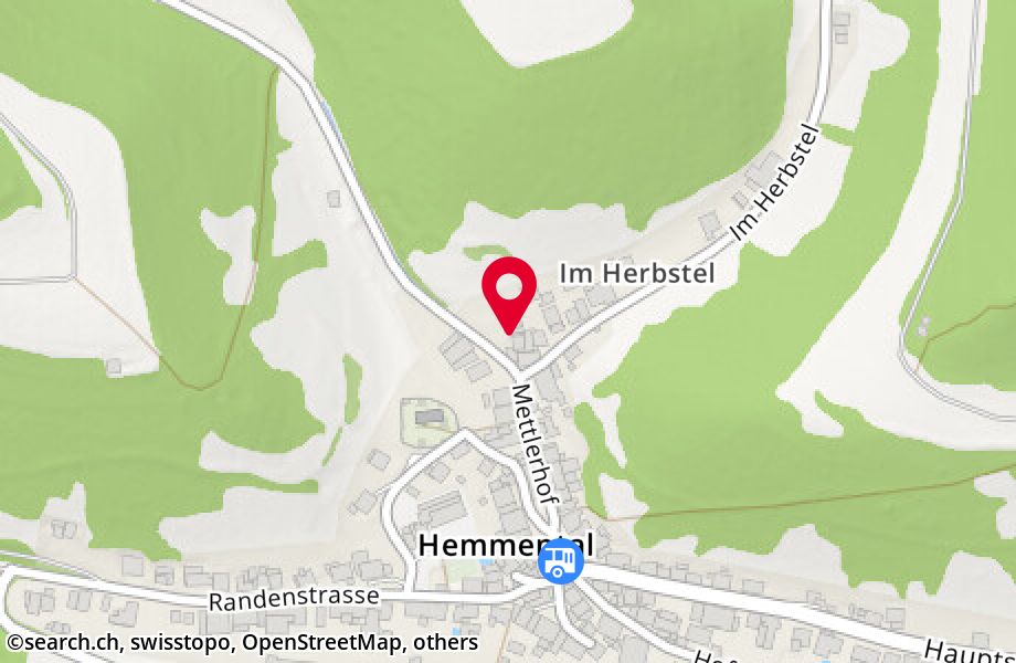 Mettlerhof 34, 8231 Hemmental