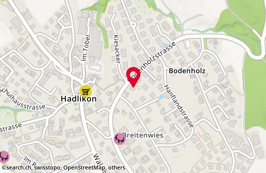 Bodenholzstrasse 26, 8340 Hinwil