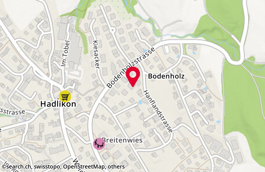 Bodenholzstrasse 32D, 8340 Hinwil