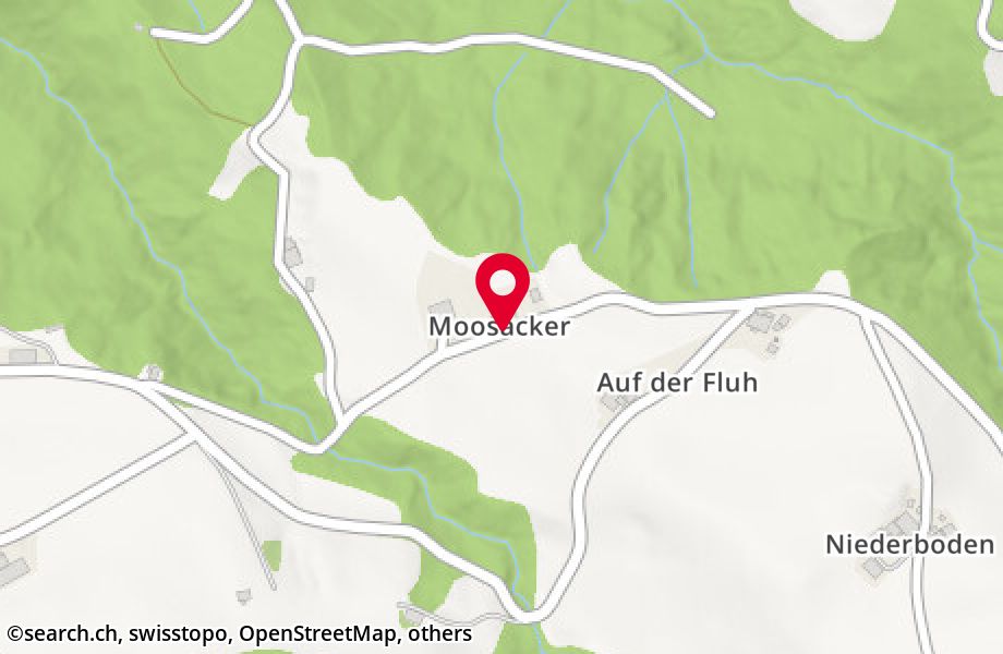 Moosacker 59, 3622 Homberg b. Thun