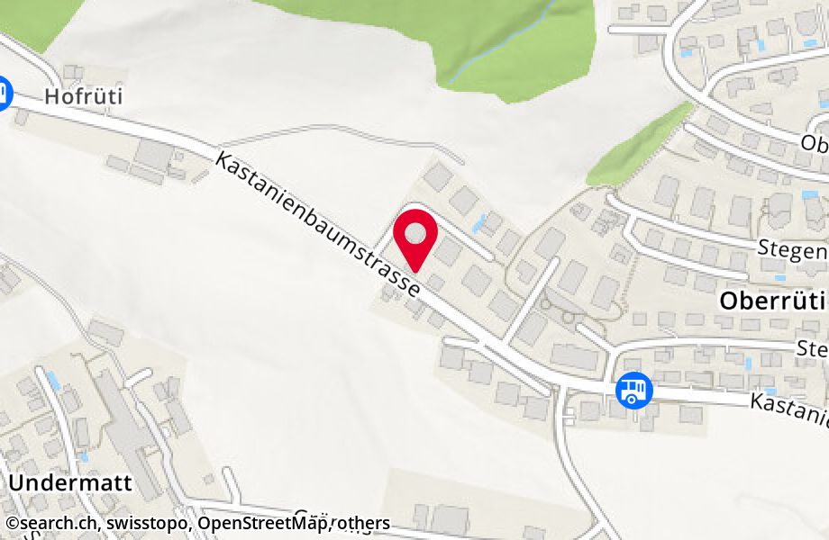 Kastanienbaumstrasse 53, 6048 Horw