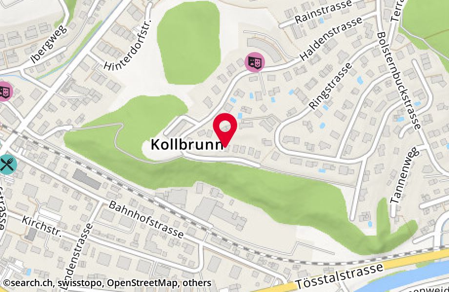 Haldenstrasse 45, 8483 Kollbrunn