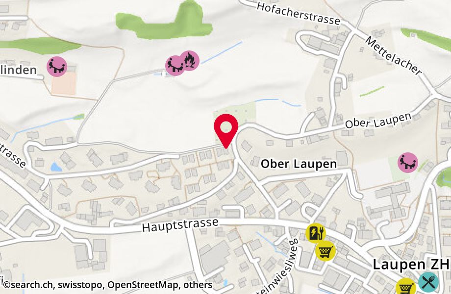 Hofacherstrasse 11A, 8637 Laupen