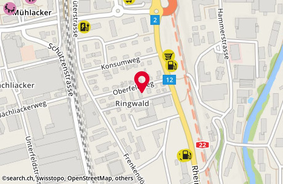 Ringwaldstrasse 8b, 4410 Liestal