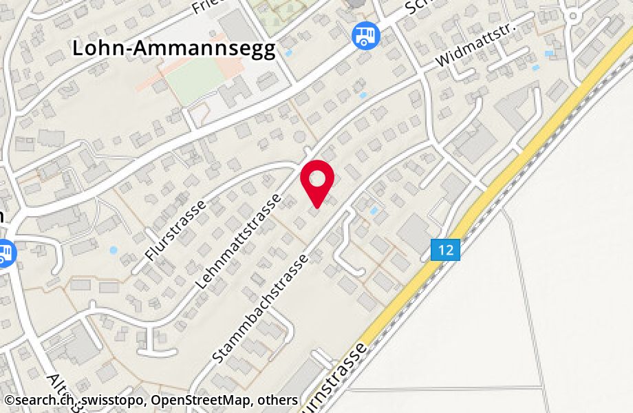 Stammbachstrasse 117, 4573 Lohn-Ammannsegg