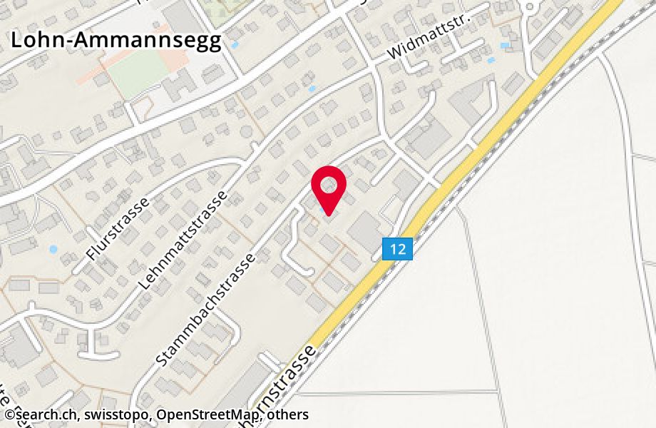 Stammbachstrasse 214, 4573 Lohn-Ammannsegg