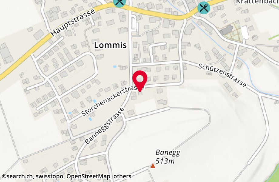 Storchenackerstrasse 50, 9506 Lommis