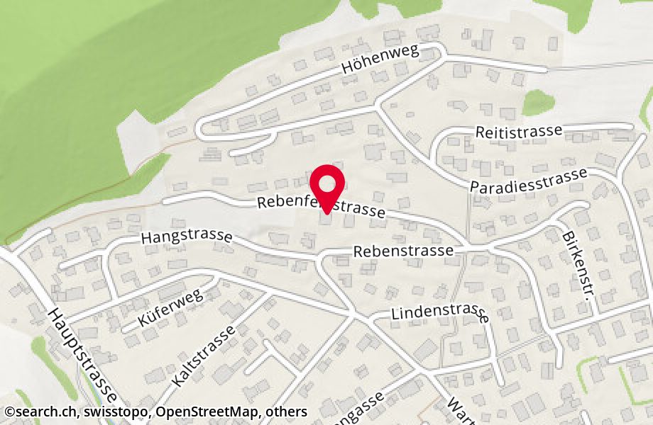 Rebenfeldstrasse 7, 4654 Lostorf
