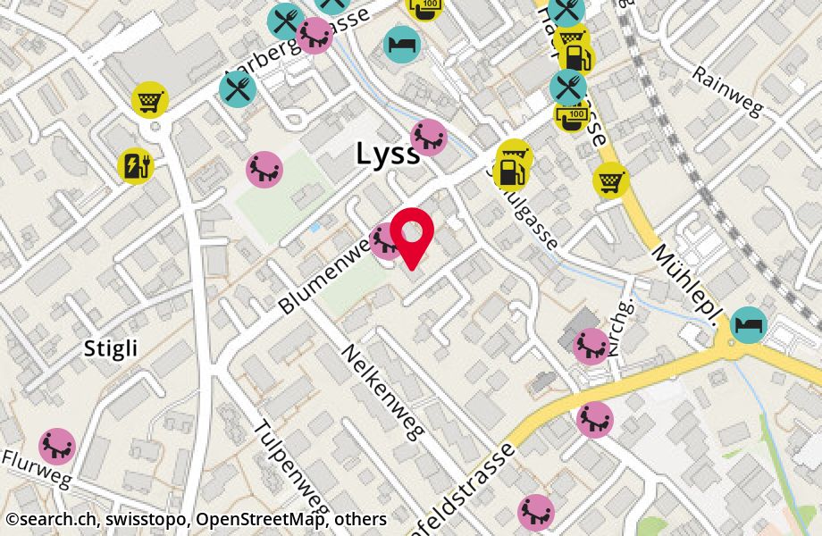 Herrengasse 24, 3250 Lyss