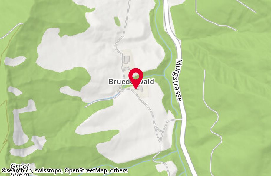 Bruederwald 1061, 9613 Mühlrüti