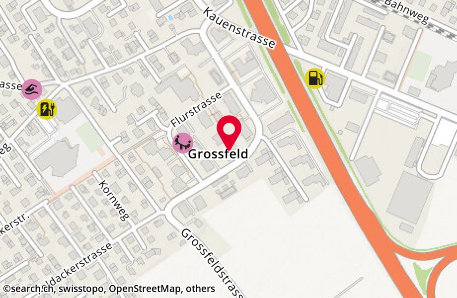 Grossfeldstrasse 12, 8887 Mels