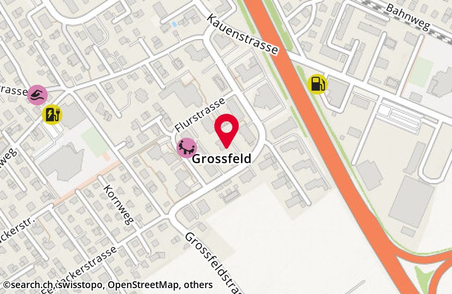 Grossfeldstrasse 14, 8887 Mels