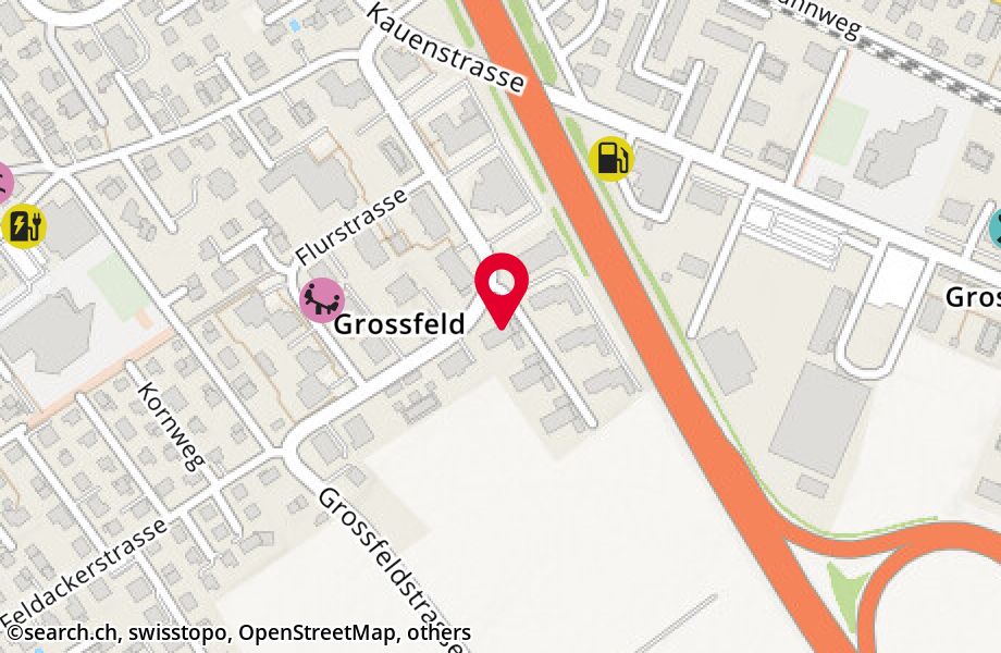 Grossfeldstrasse 15, 8887 Mels