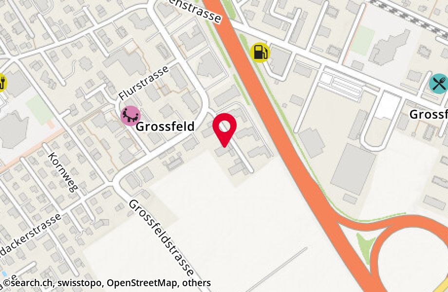 Grossfeldstrasse 17, 8887 Mels