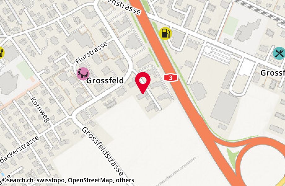 Grossfeldstrasse 17, 8887 Mels