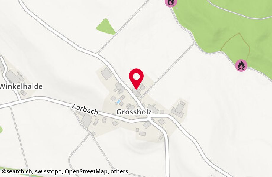 Grossholz 22, 8932 Mettmenstetten
