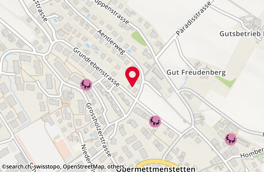 Grundrebenstrasse 30, 8932 Mettmenstetten