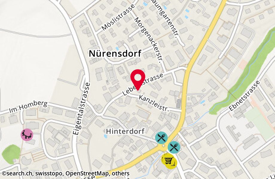 Lebernstrasse 6, 8309 Nürensdorf