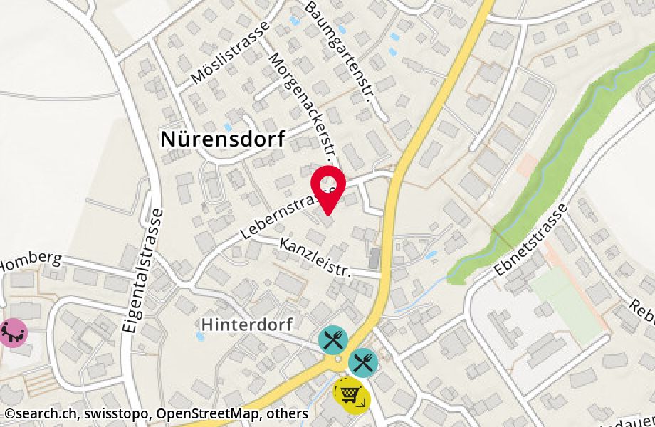 Lebernstrasse 8, 8309 Nürensdorf