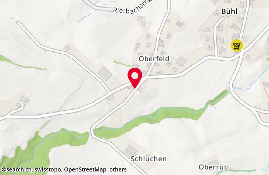 Oberfeld-Bühl 375, 9650 Nesslau