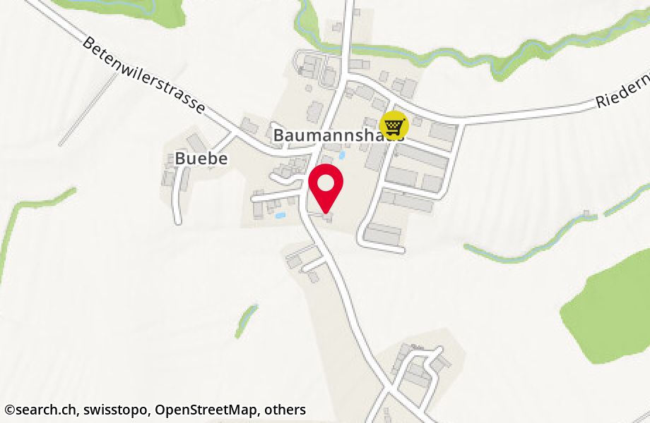 Baumannshaus 15, 9315 Neukirch (Egnach)