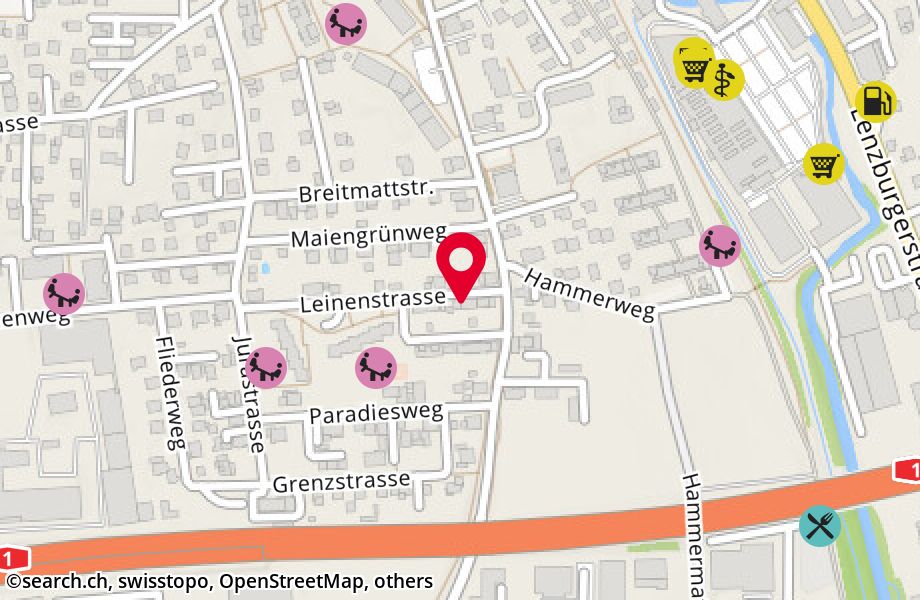 Leinenstrasse 9, 5702 Niederlenz