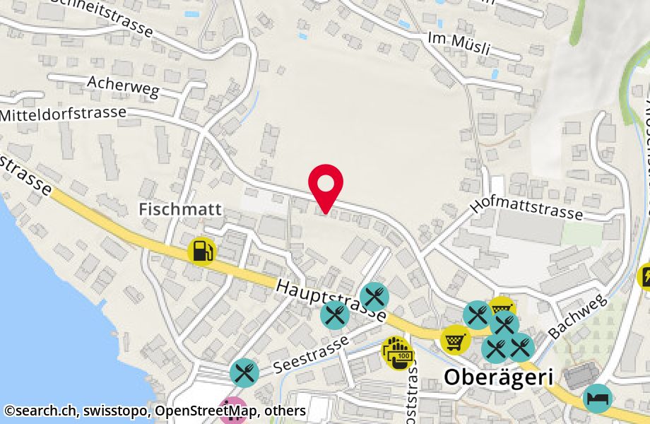 Mitteldorfstrasse 17, 6315 Oberägeri