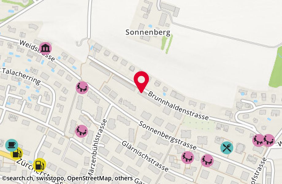 Brunnhaldenstrasse 39A, 8102 Oberengstringen