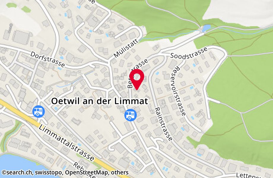 Bergstrasse 10, 8955 Oetwil an der Limmat