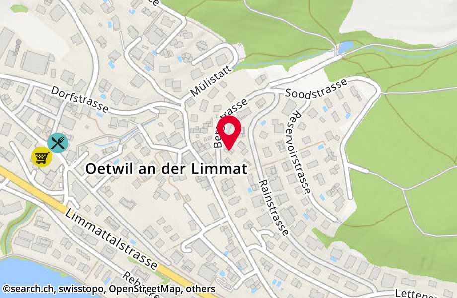 Bergstrasse 10, 8955 Oetwil an der Limmat
