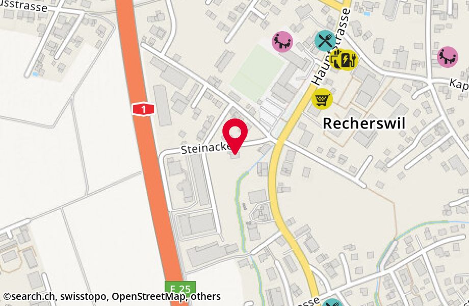 Steinacker 7, 4565 Recherswil