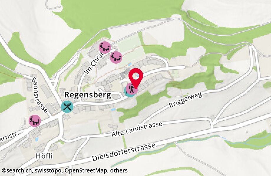 Oberburg 3, 8158 Regensberg