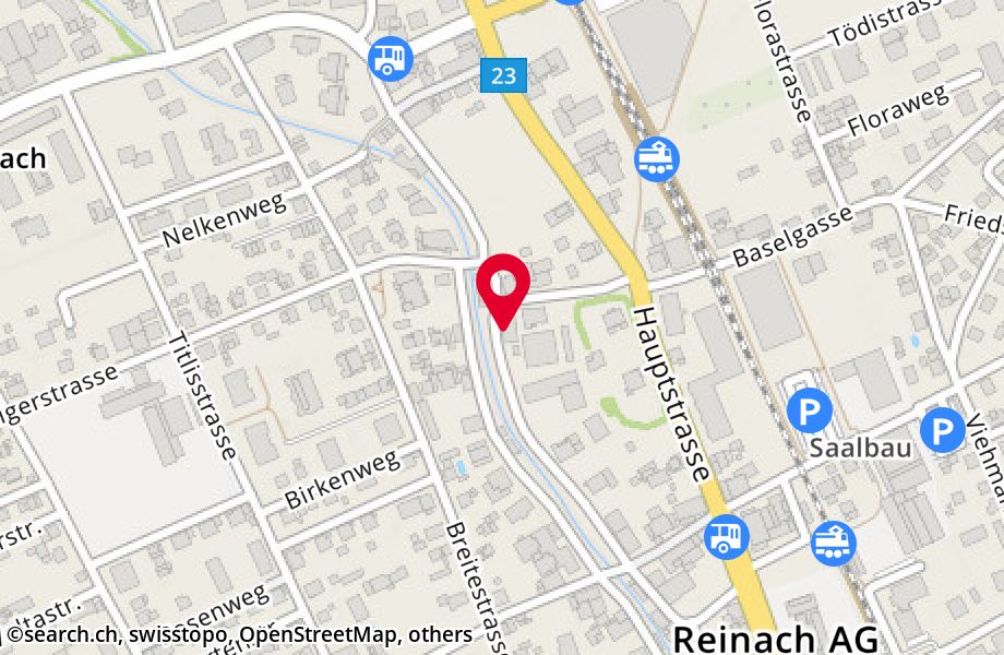 Alte Strasse 37, 5734 Reinach