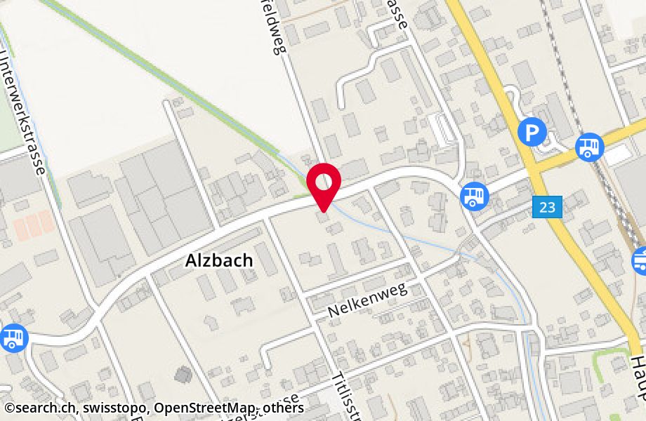 Alzbachstrasse 17, 5734 Reinach