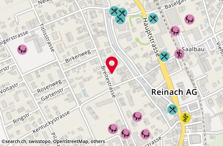 Breitestrasse 35, 5734 Reinach