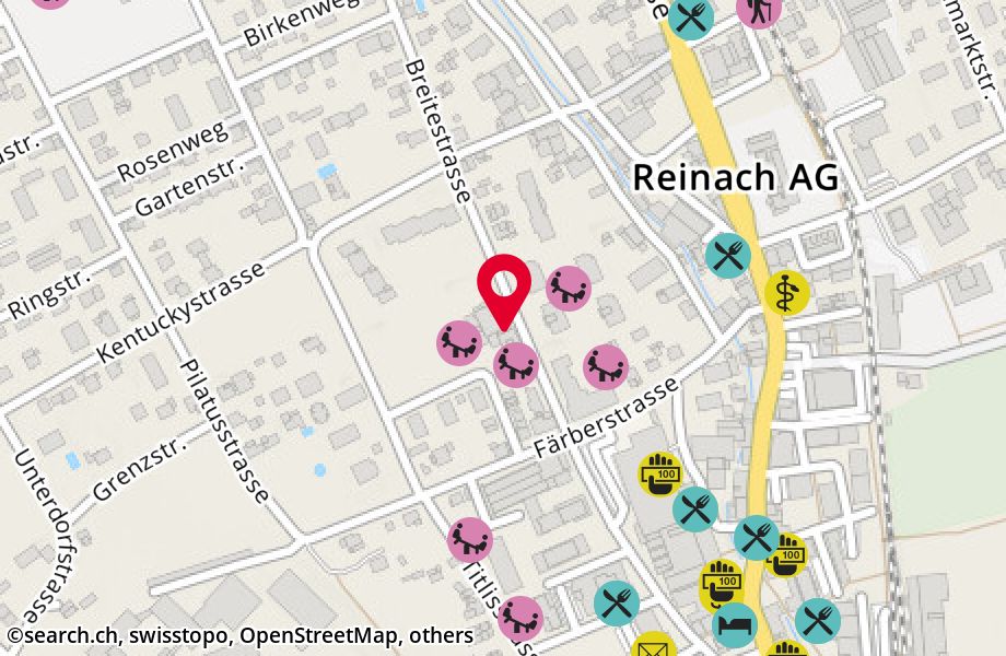 Breitestrasse 48, 5734 Reinach