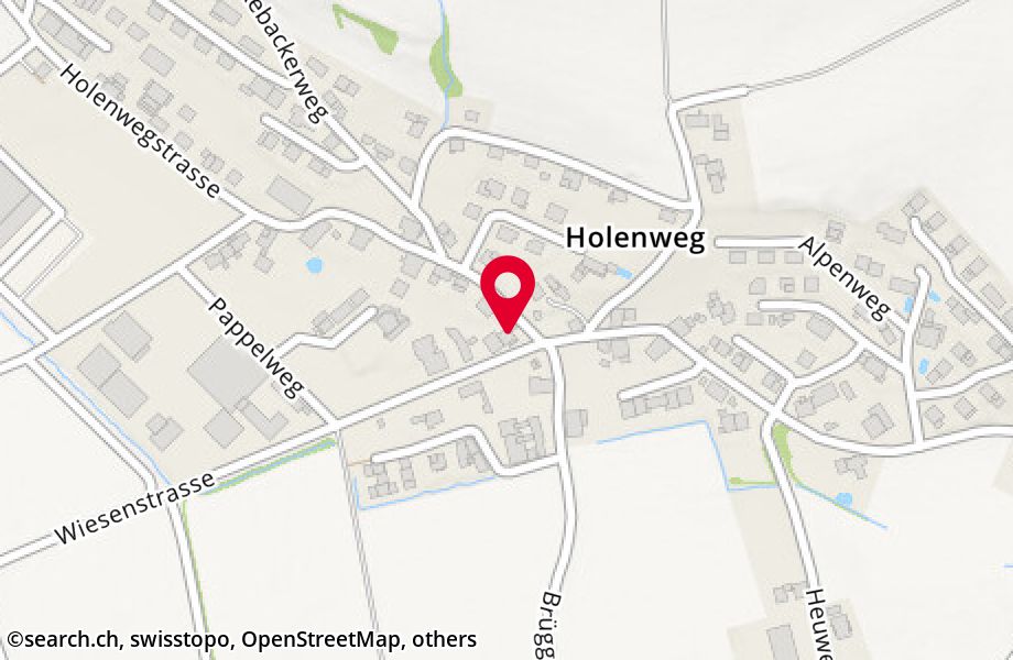 Holenwegstrasse 41, 5734 Reinach