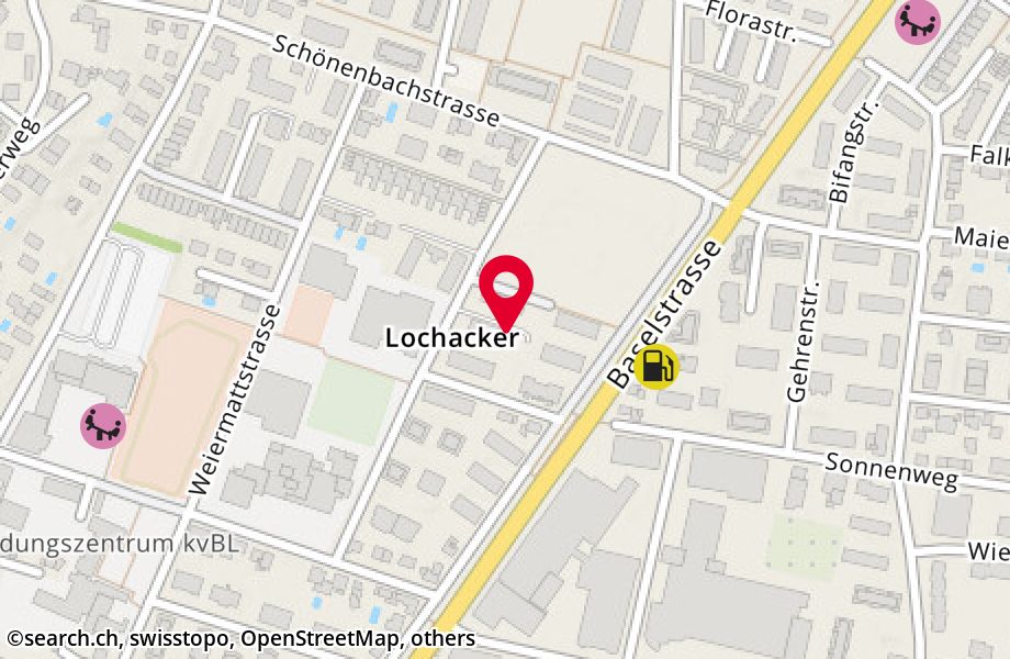 Lochackerstrasse 22, 4153 Reinach
