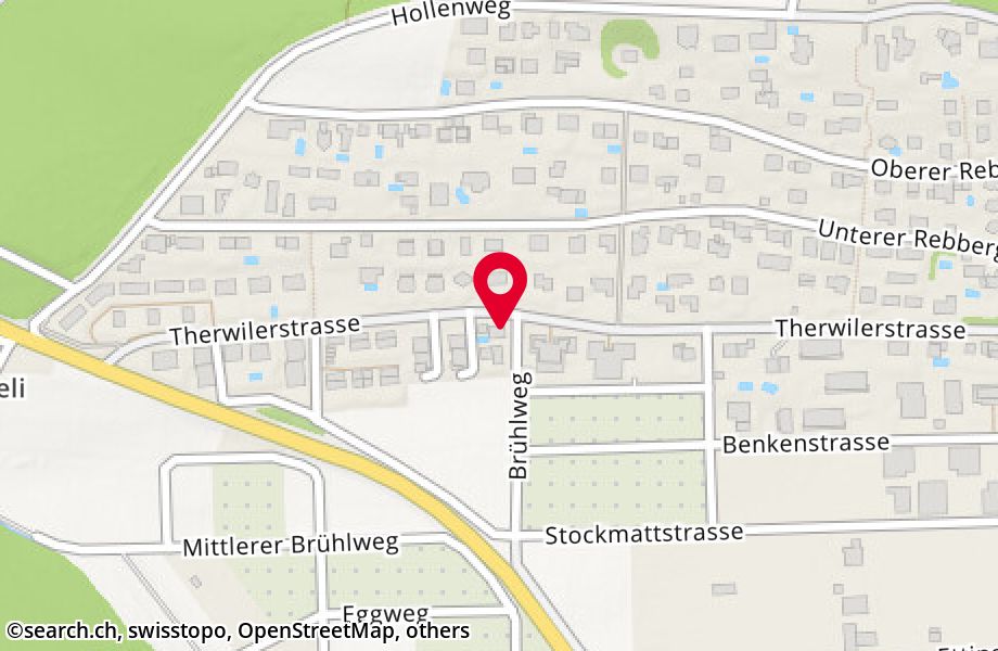 Therwilerstrasse 55, 4153 Reinach