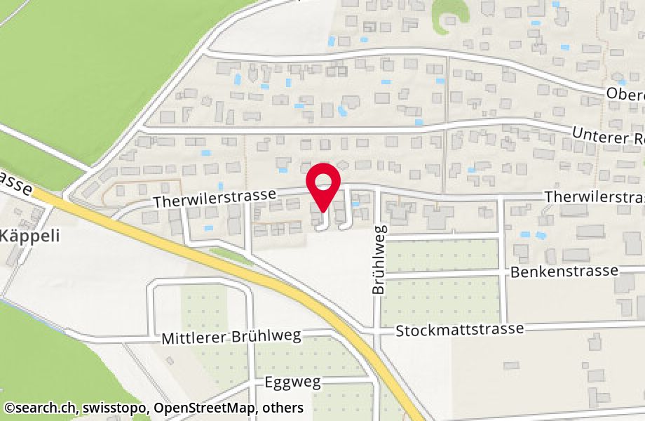 Therwilerstrasse 59, 4153 Reinach