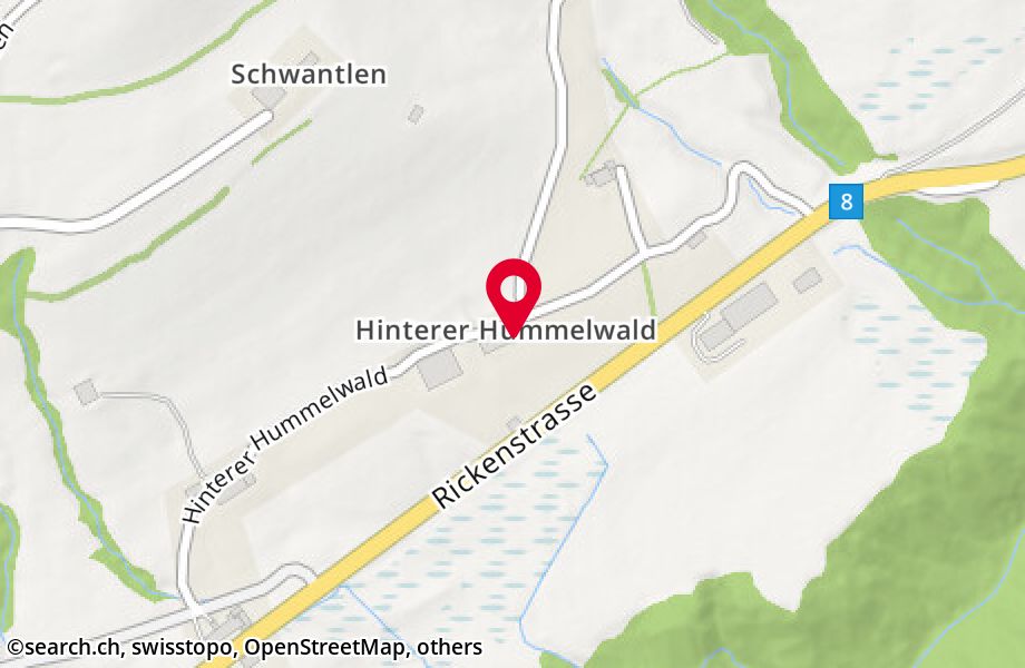 Hinterer Hummelwald 1133, 8726 Ricken
